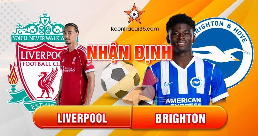 Nhận định bóng đá Liverpool vs Brighton, 22h00 ngày 13/12