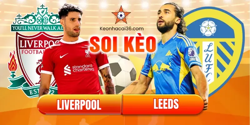 Soi kèo Liverpool vs Leeds (00:30, 02/01): Chờ cơn mưa bàn thắng tại Anfield